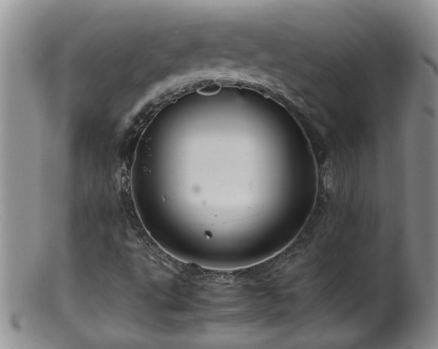 X0000099461495200805161034