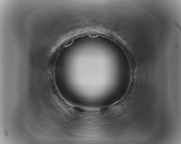 X0000099461496200805161034