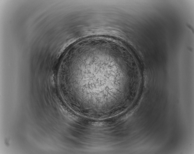 X0000099461497200805161034