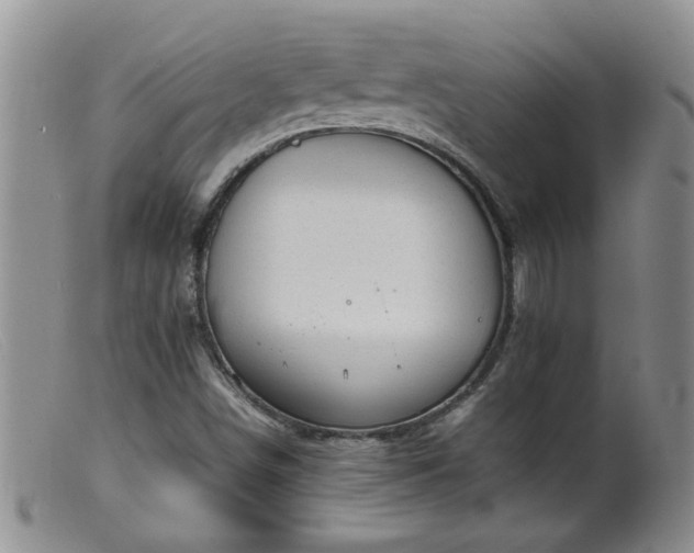 X0000099461498200805161034