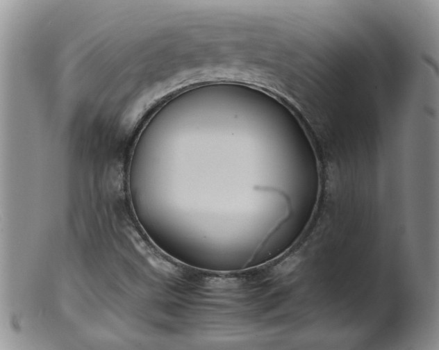 X0000099461499200805161034