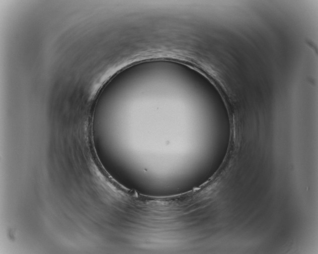 X0000099461500200805161034