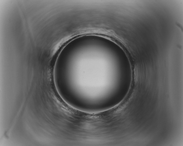 X0000099461501200805161034