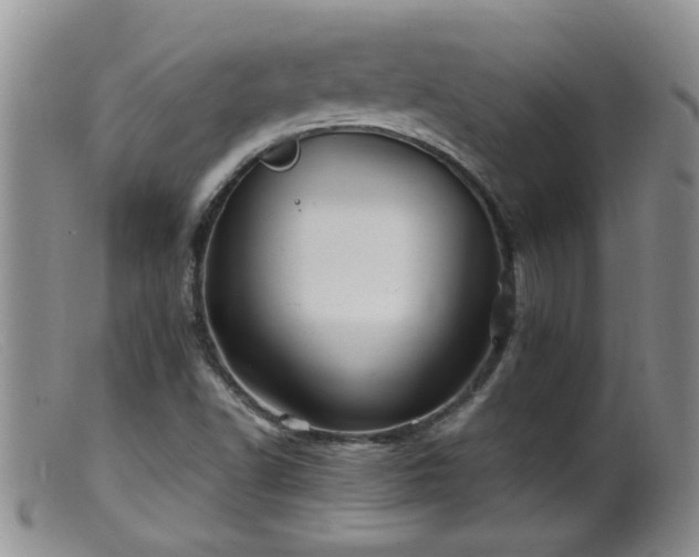 X0000099461502200805161034