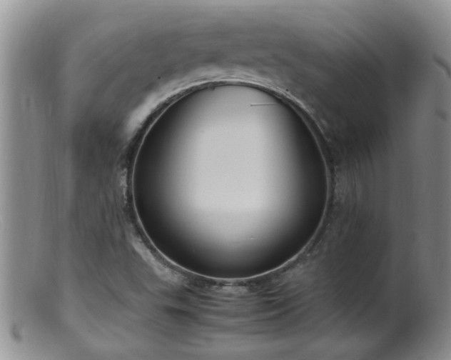 X0000099461503200805161034