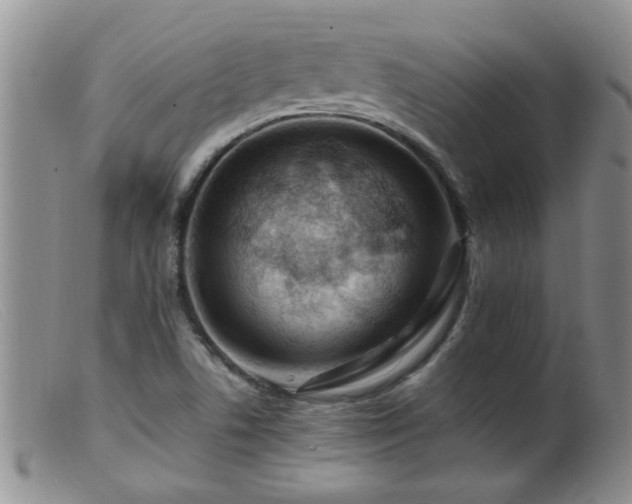 X0000099461506200805161034