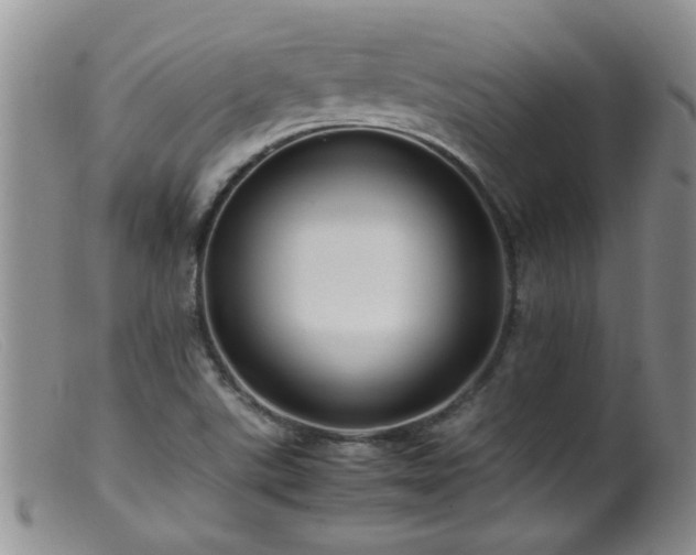 X0000099461507200805161034