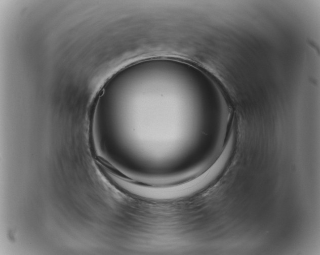 X0000099461508200805161034