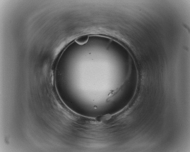 X0000099461509200805161034