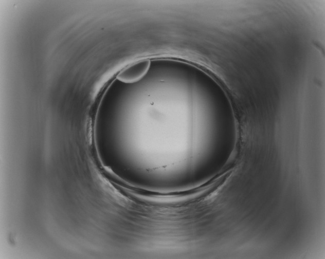 X0000099461510200805161034