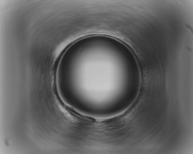 X0000099461511200805161034