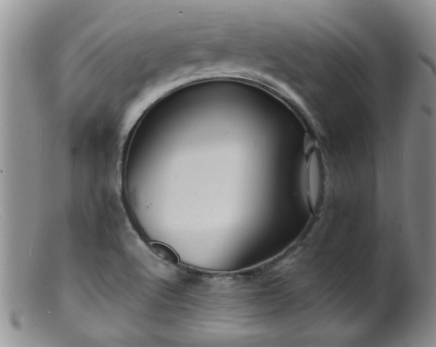 X0000099461512200805161034