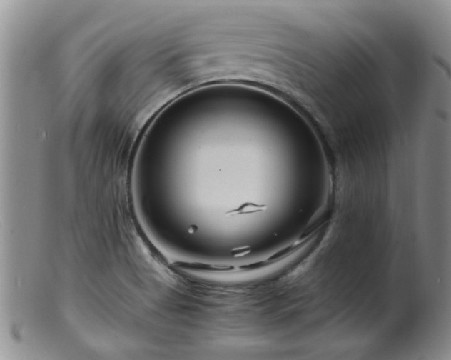 X0000099461513200805161034