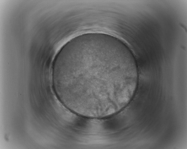 X0000099461514200805161034