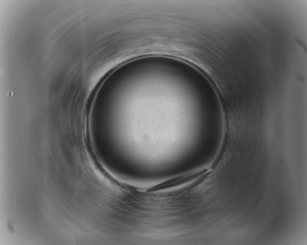 X0000099461515200805161034