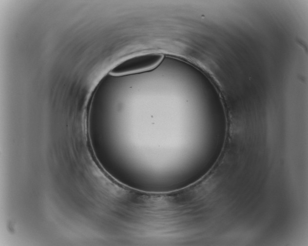 X0000099461516200805161034