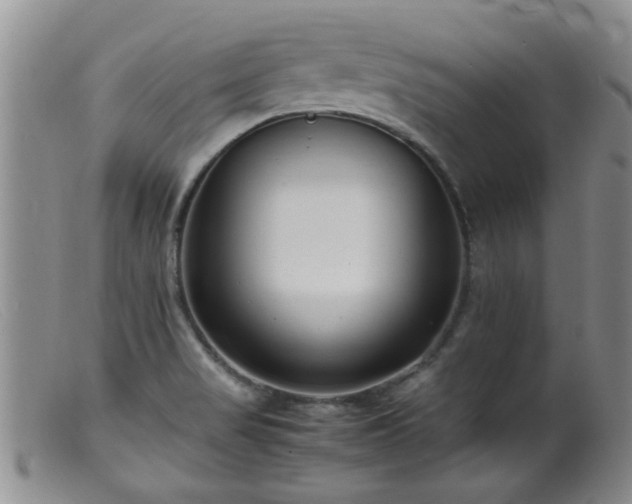 X0000099461517200805161034