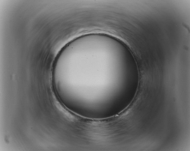 X0000099461518200805161034