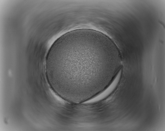 X0000099461519200805161034