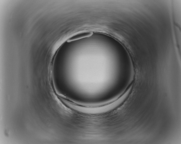 X0000099461520200805161034