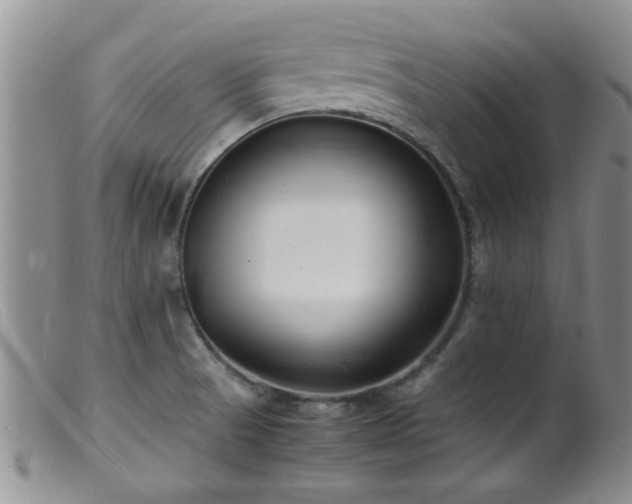 X0000099461521200805161034