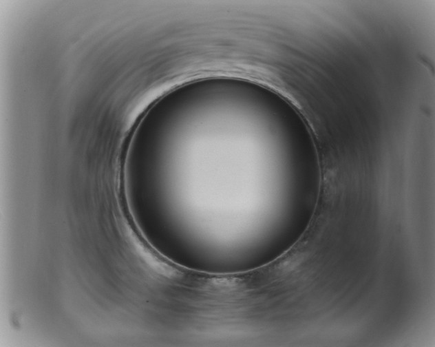 X0000099461523200805161034