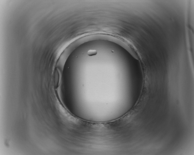 X0000099461524200805161034