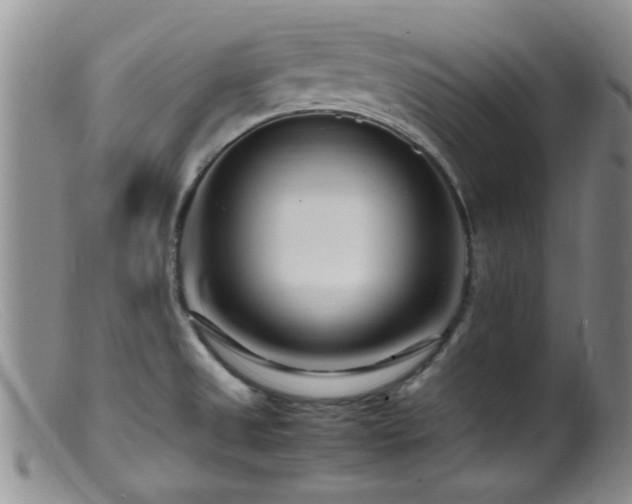 X0000099461525200805161034