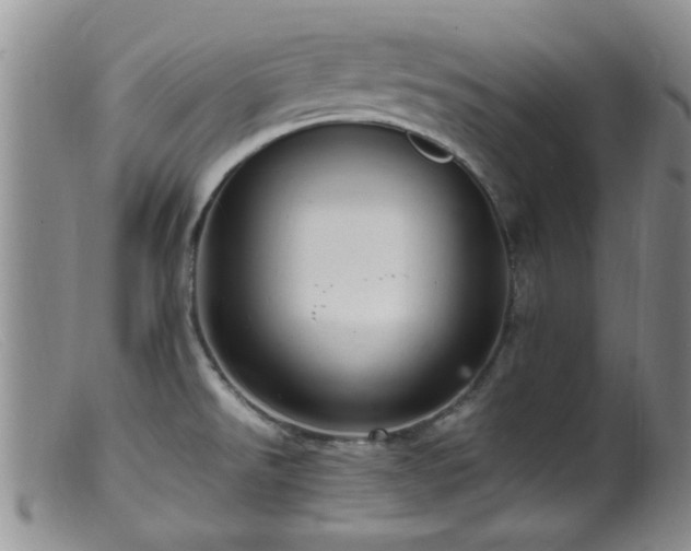 X0000099461526200805161034