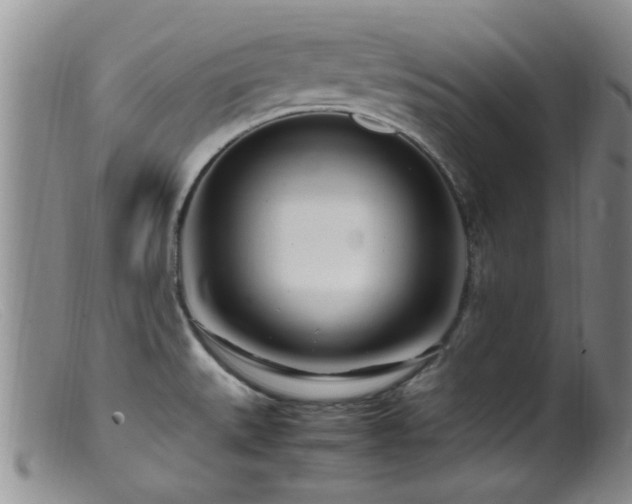 X0000099461527200805161034