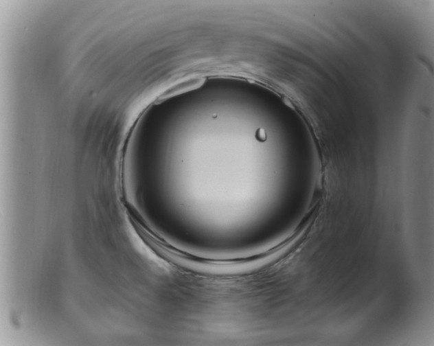 X0000099461528200805161034