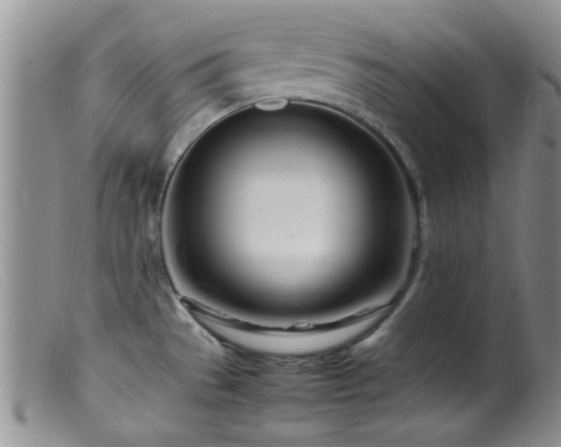 X0000099461529200805161034