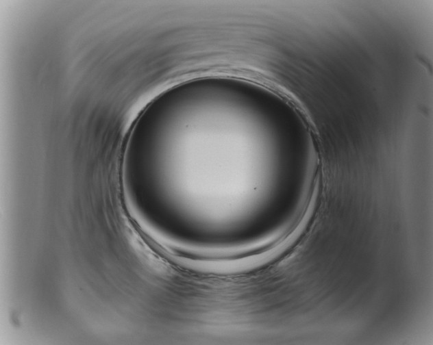 X0000099461530200805161034