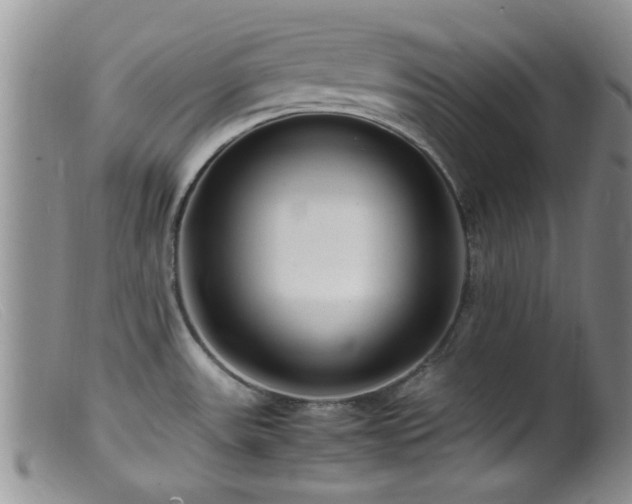 X0000099461531200805161034