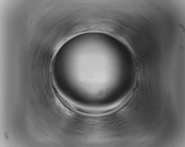 X0000099461532200805161034