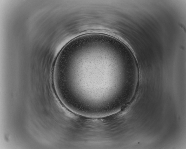 X0000099461533200805161034