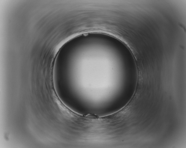 X0000099461534200805161034