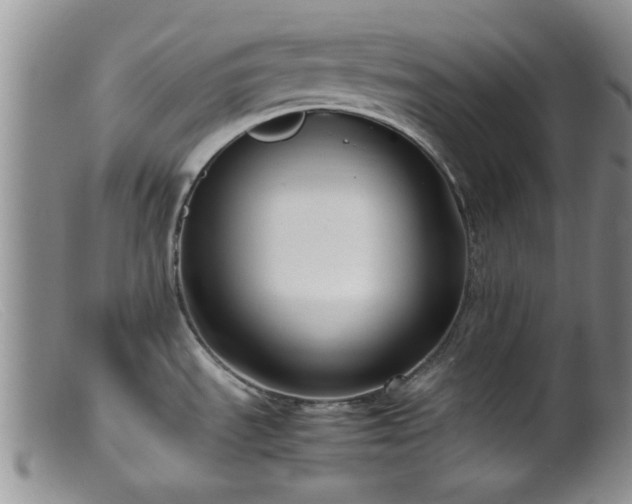 X0000099461535200805161034