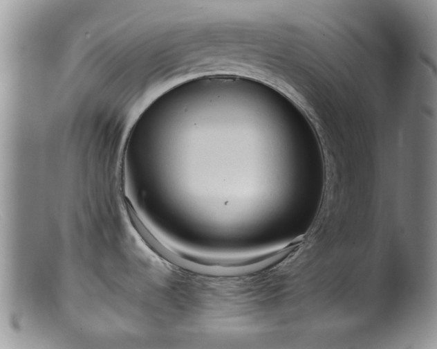 X0000099461536200805161034