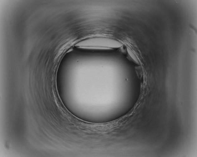 X0000099460001200805231817