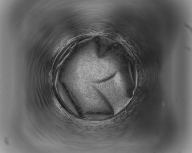 X0000099460002200805231817