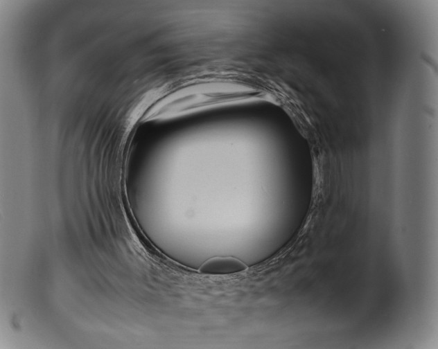 X0000099460003200805231817