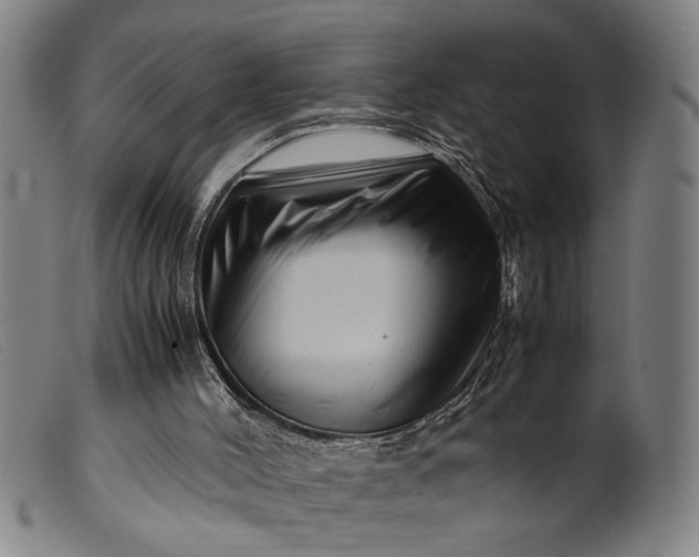 X0000099460004200805231817