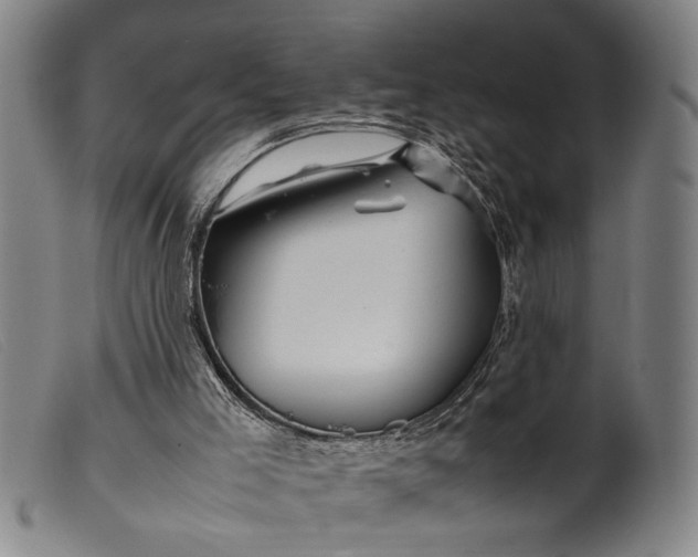 X0000099460005200805231817