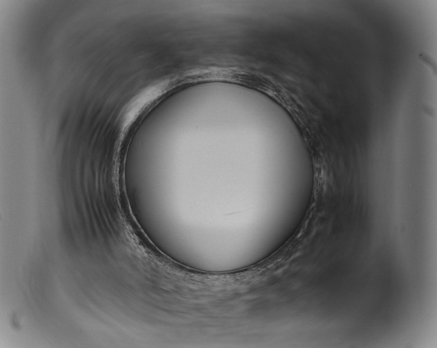 X0000099460006200805231817