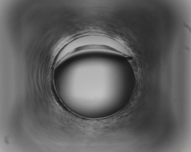 X0000099460007200805231817