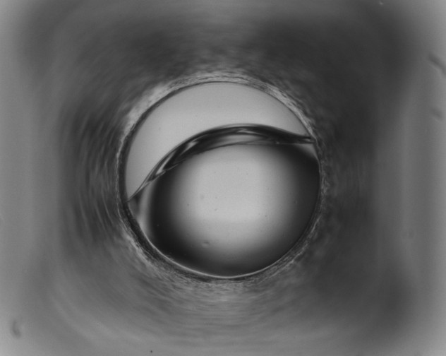 X0000099460008200805231817