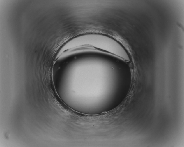 X0000099460009200805231817