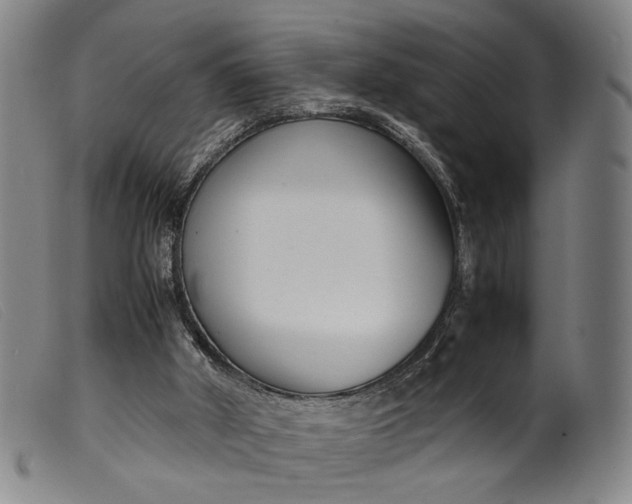 X0000099460010200805231817