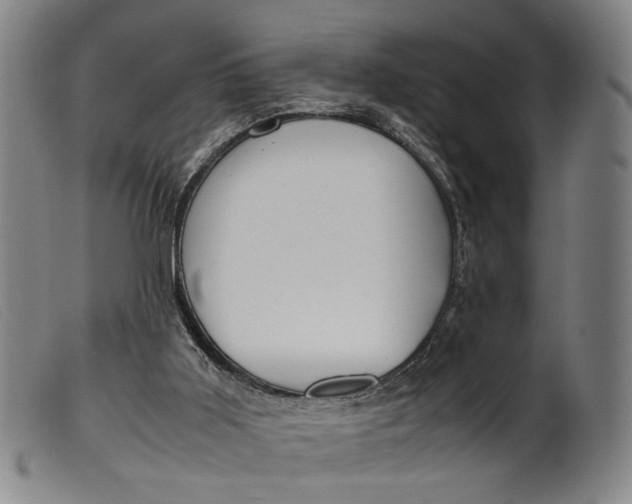 X0000099460011200805231817